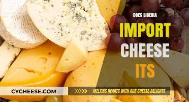 Does Liberia Import Cheese Its? Exploring Snack Food Trade Dynamics