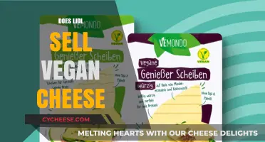 Is Lidl's Vegan Cheese Selection Worth Trying? Find Out Here