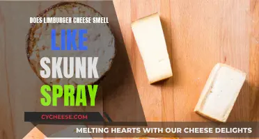 The Stinky Truth: Limburger Cheese vs Skunk Spray