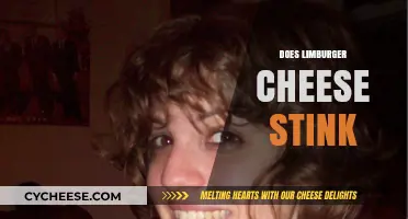 Does Limburger Cheese Really Stink? Uncovering the Truth Behind Its Odor