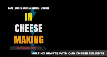 Lipase's Role in Cheese Making: Unveiling the Chemical Transformation