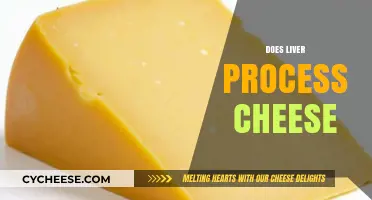 Does Your Liver Process Cheese? Understanding Digestion and Metabolism