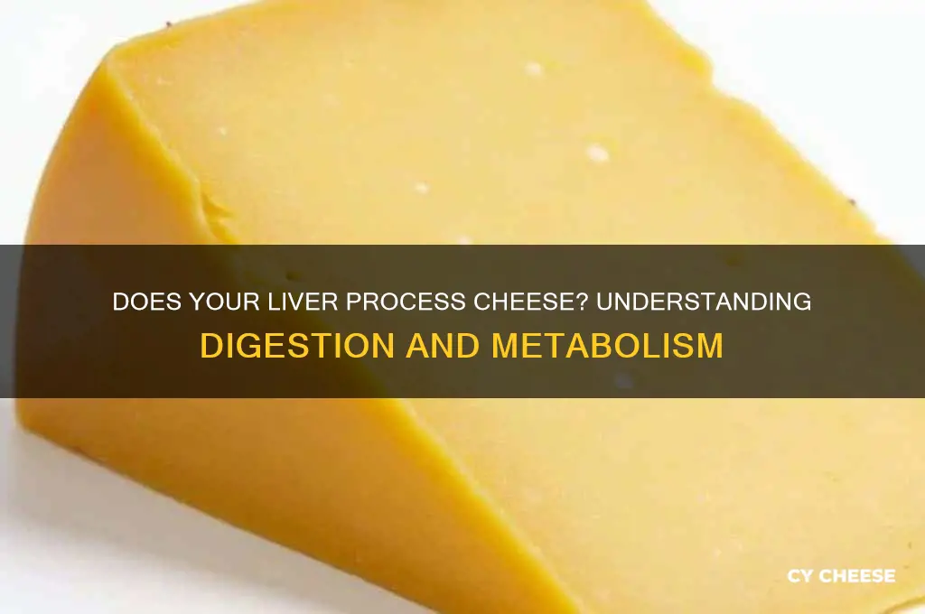 does liver process cheese