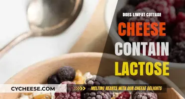 Does Low-Fat Cottage Cheese Contain Lactose? A Nutritional Breakdown