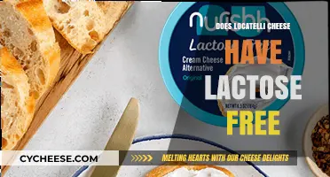 Locatelli Cheese: Lactose-Free Option?