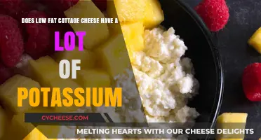 Low-Fat Cottage Cheese: Potassium Content and Health Benefits Explained