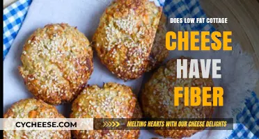 Low-Fat Cottage Cheese and Fiber: Unraveling Nutritional Facts