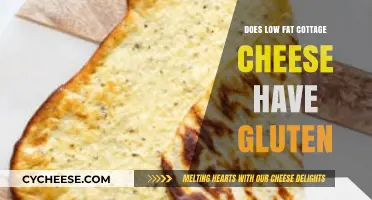 Is Low-Fat Cottage Cheese Gluten-Free? A Complete Guide