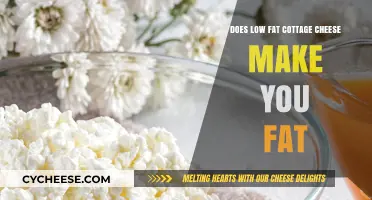 Low-Fat Cottage Cheese: Does It Contribute to Weight Gain?