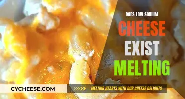Cheese Melting: Low-Sodium Options Exist?