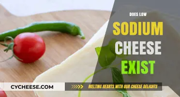 Exploring Low Sodium Cheese Options: Healthier Alternatives for Cheese Lovers