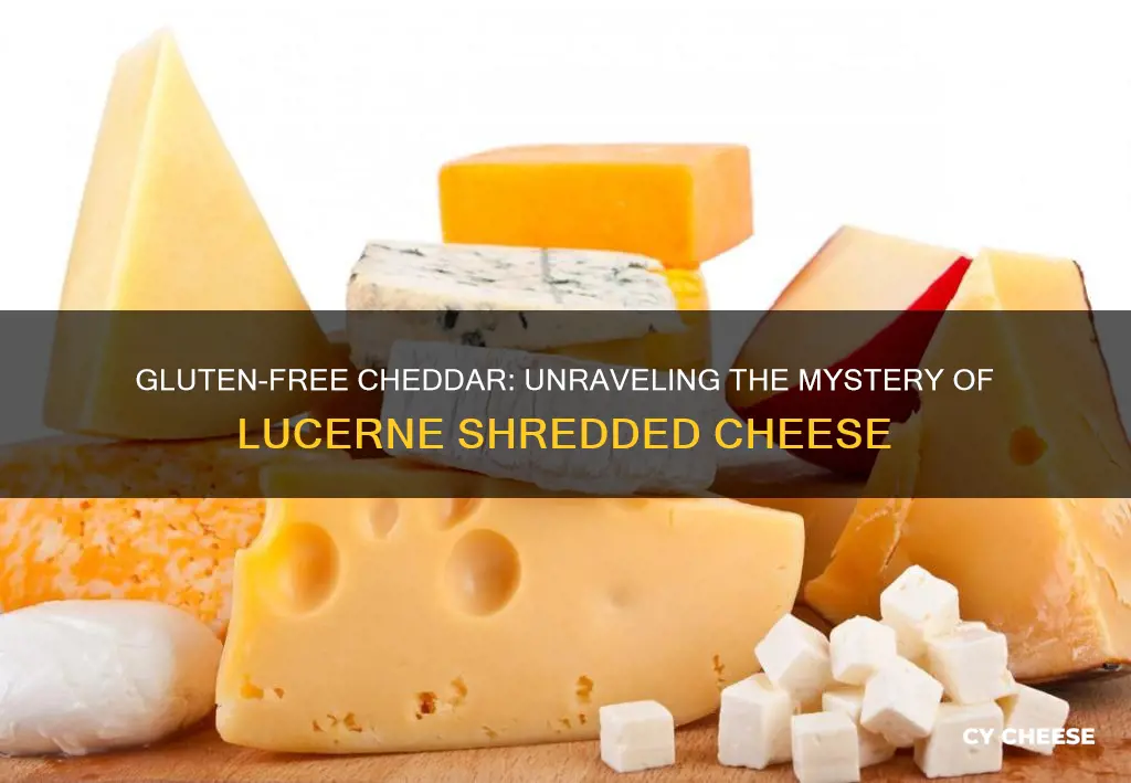 does lucerne shredded sharp cheddar cheese have gluten