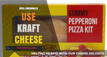 Lunchables and Kraft Cheese: A Perfect Pairing?
