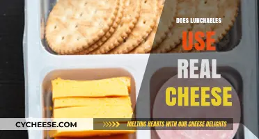Lunchables Cheese: Real or Fake?