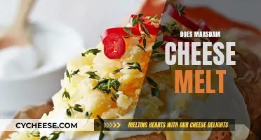 Maasdam Cheese Melt: The Ultimate Guide to Melting Perfection