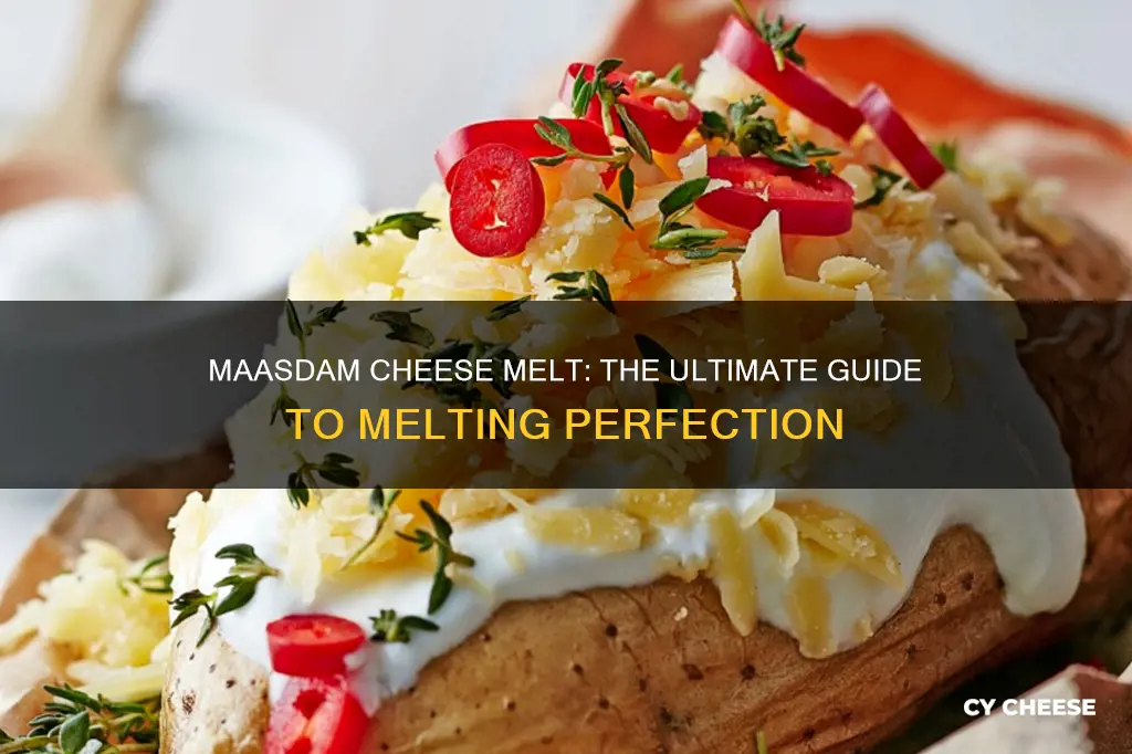 does maasdam cheese melt