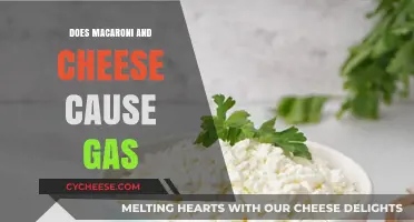 Mac and Cheese: A Delicious but Gassy Dish?