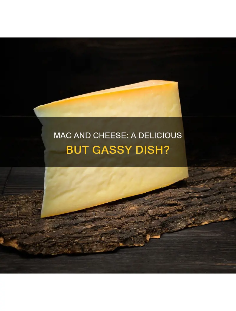 does macaroni and cheese cause gas