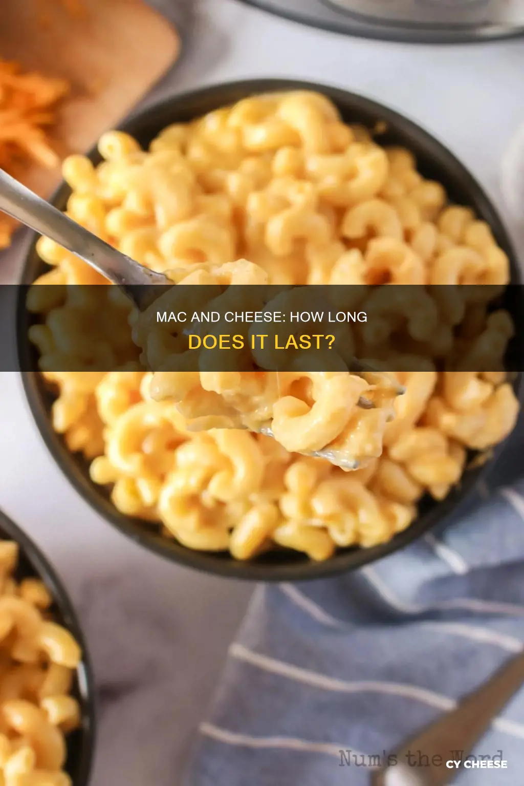 does macaroni and cheese go bad