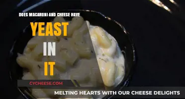 Macaroni and Cheese: Yeast-Free Comfort Food