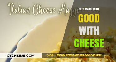 Cheese and Maggi: A Match Made in Heaven?
