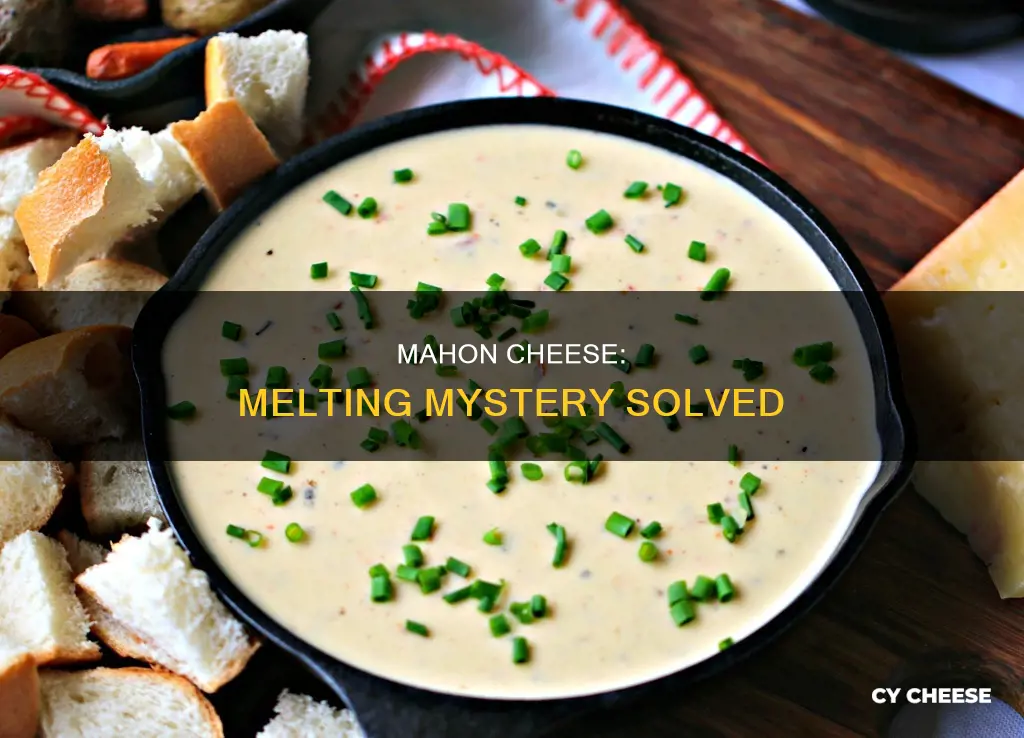 does mahon cheese melt