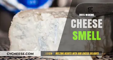 Does Making Cheese Smell? Uncovering the Aromatic Truth Behind Cheesemaking