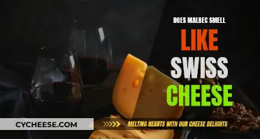 Malbec and Swiss Cheese: Aroma Similarities and Why It Matters