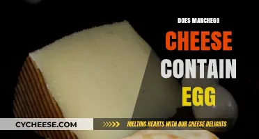 Is Manchego Cheese Egg-Free? Uncovering the Truth for Dietary Needs