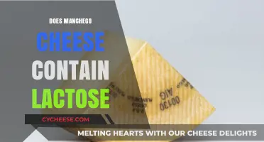 Does Manchego Cheese Contain Lactose? A Complete Guide for Cheese Lovers