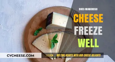 Can You Freeze Manchego Cheese? Tips for Preserving Its Flavor