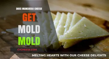 Manchego Cheese: Does It Get Moldy?