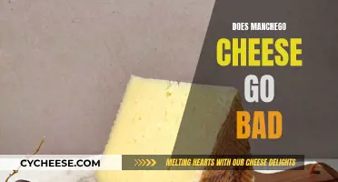 Manchego Cheese: How Long Does It Last?