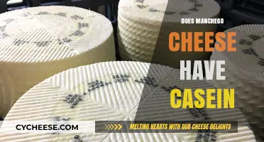 Does Manchego Cheese Contain Casein? A Detailed Analysis