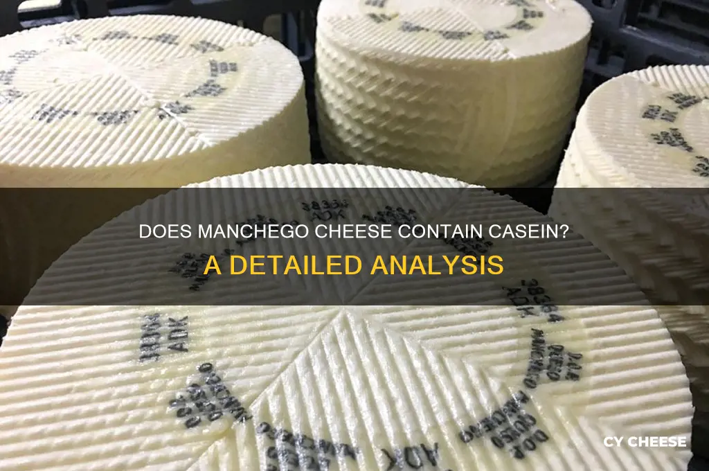 does manchego cheese have casein