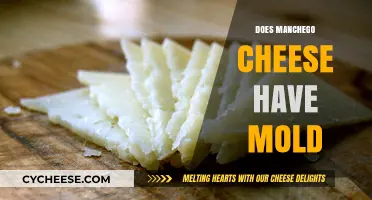 Does Manchego Cheese Have Mold? Uncovering the Truth About This Spanish Cheese