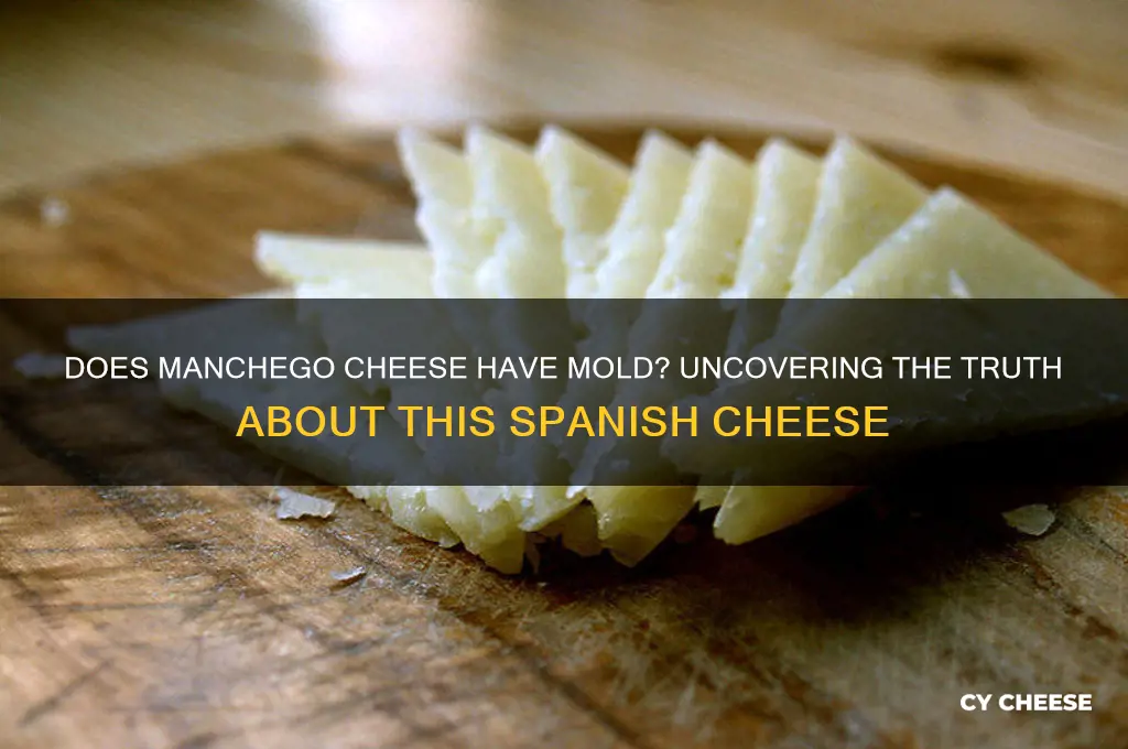 does manchego cheese have mold
