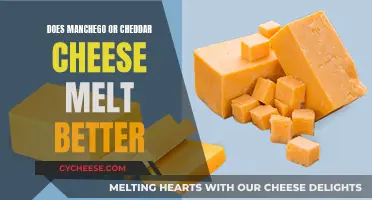 Melting Point: Manchego vs Cheddar Cheese