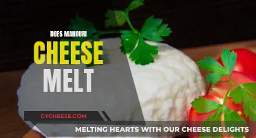 Manouri Cheese: Melting Magic in 8 Ways
