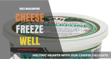 Can You Freeze Mascarpone Cheese? Tips for Preserving Creamy Texture