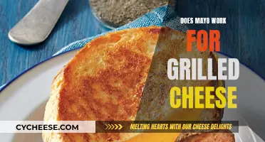 Mayo for Grilled Cheese: A Tasty Experiment