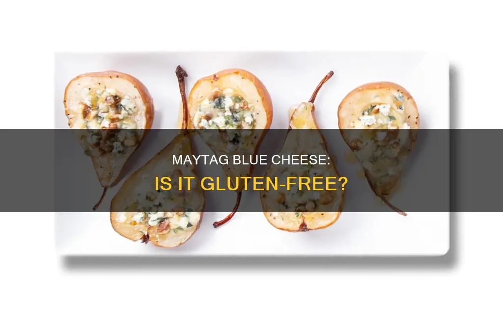 does maytag blue cheese contain gluten