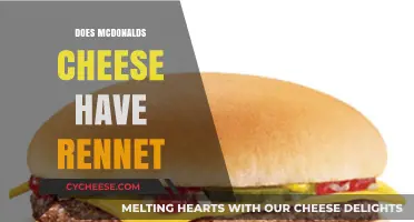 Is McDonald's Cheese Vegetarian? Exploring Rennet in Their Cheesy Offerings