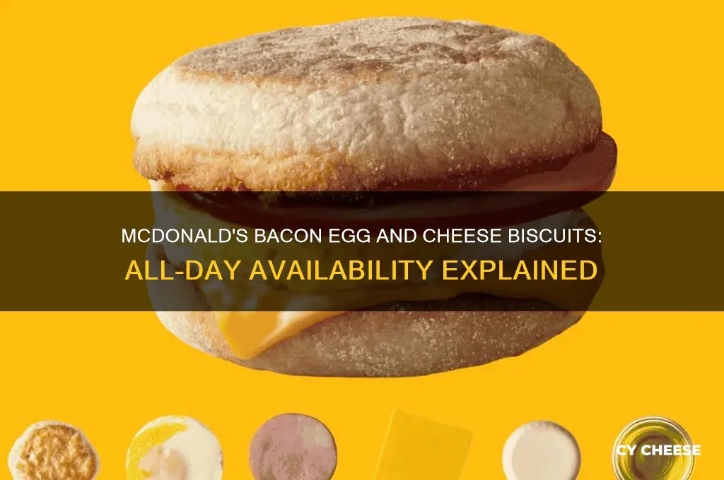 does mcdonalds have bacon egg and cheese biscuits all day