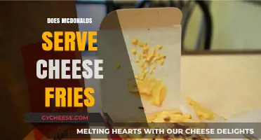 McDonald's Cheesy Fries: Are They Real?