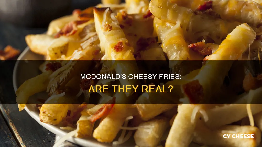 does mcdonalds serve cheese fries
