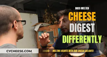 Cheese Conundrum: Melting and Digestion Explained