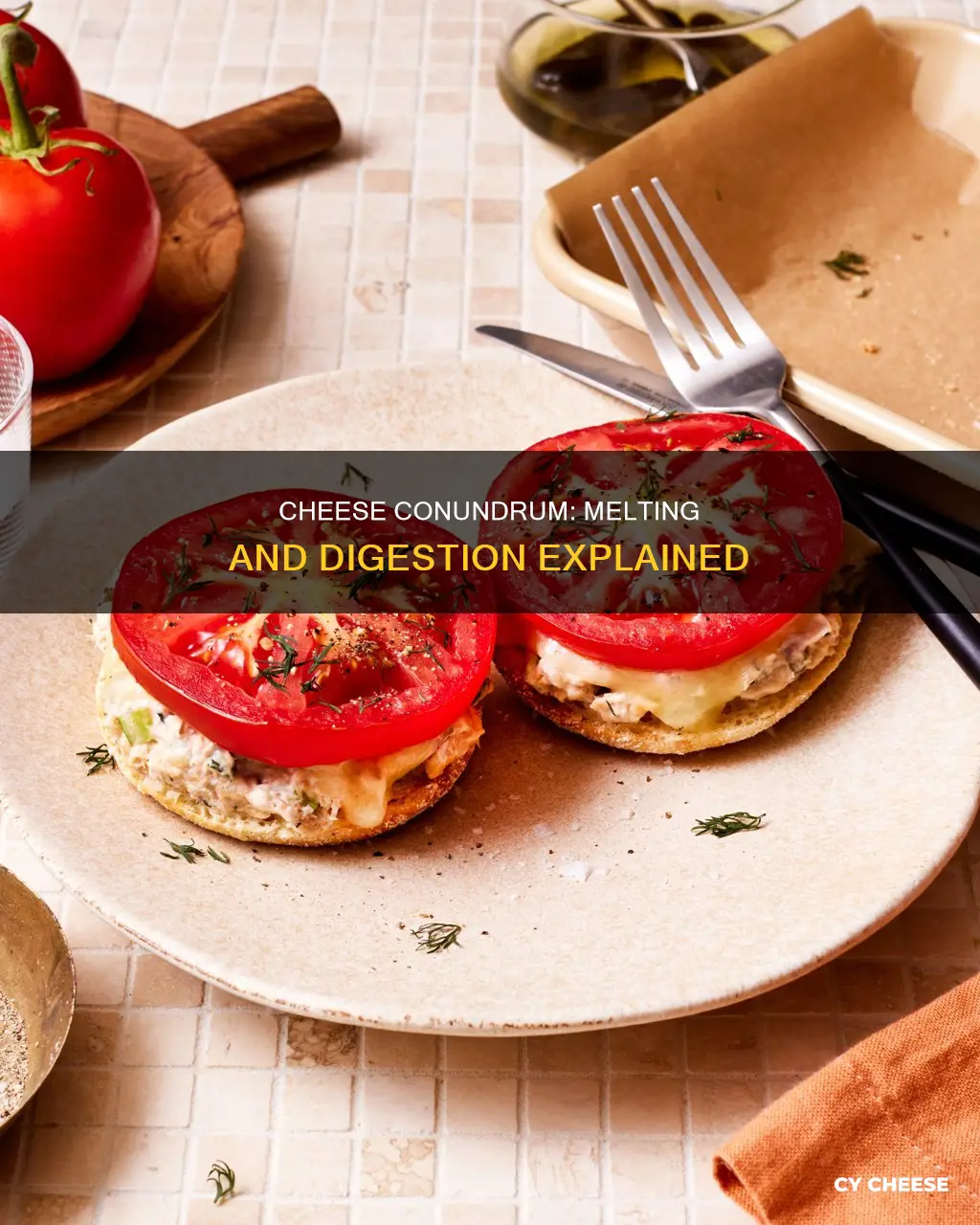 does melted cheese digest differently