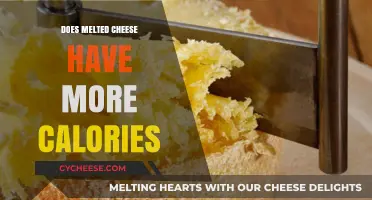 Cheese Conundrum: Melted Magic or Calorie Bomb?