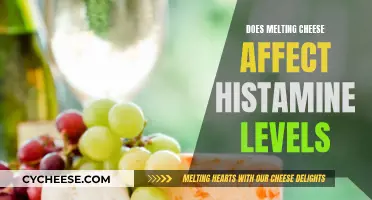 Cheese Melting: Impact on Histamine Levels and Allergies